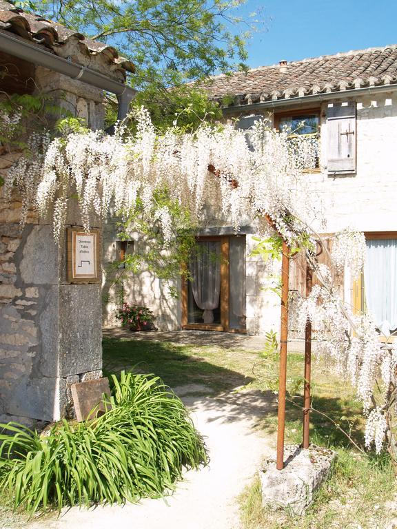 La Vayssade - Maison D'Hotes - Jacuzzi, Piscine & Truffes ラルバンク エクステリア 写真